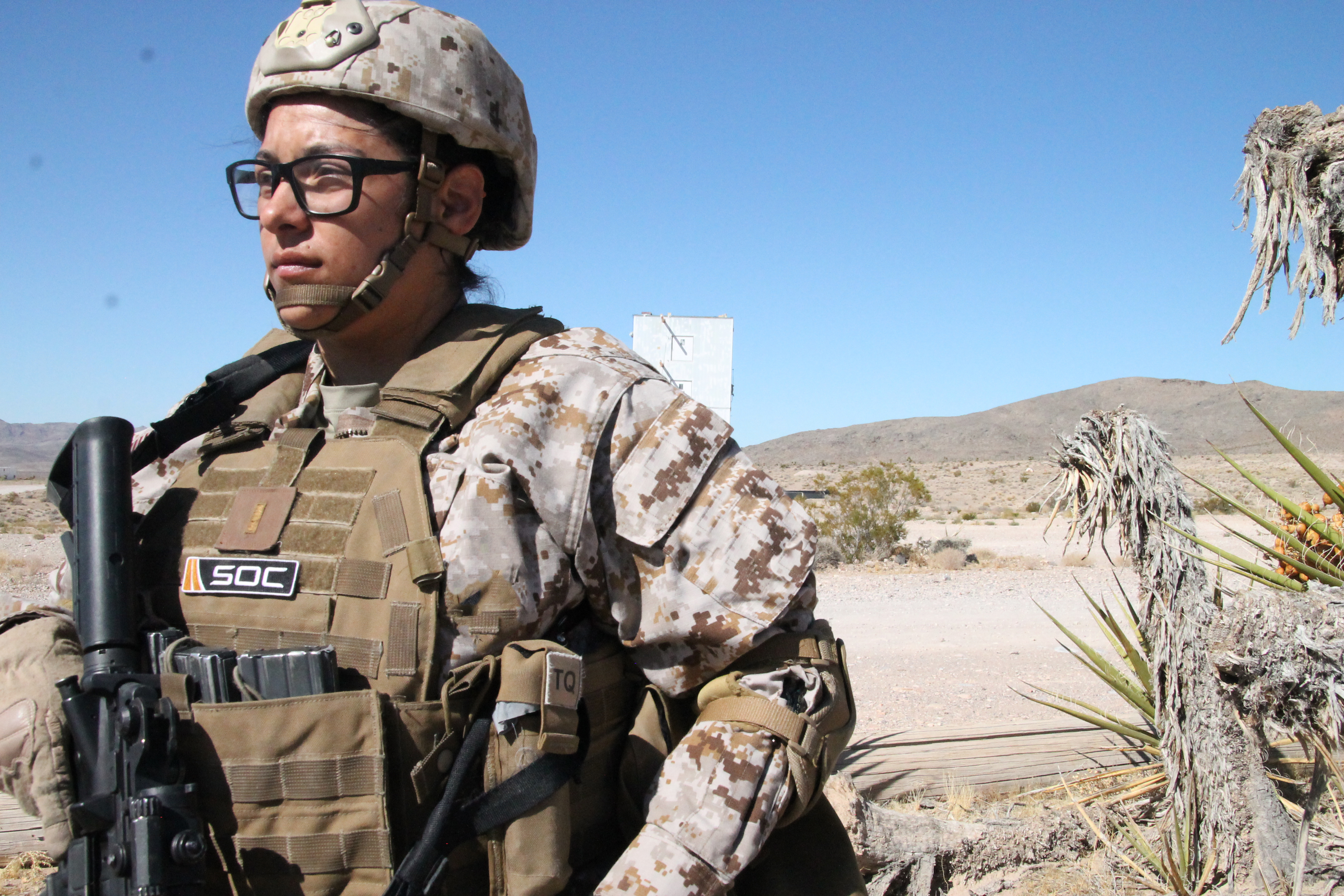 Security force member dressed in desert BDU